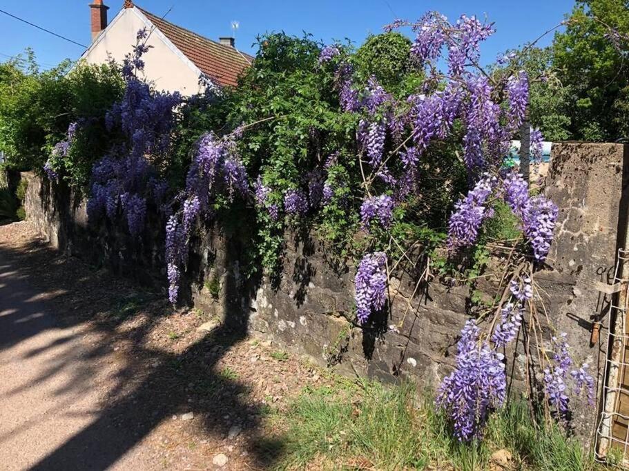 La Petite Maison D'Orphee Marmagne  Eksteriør billede