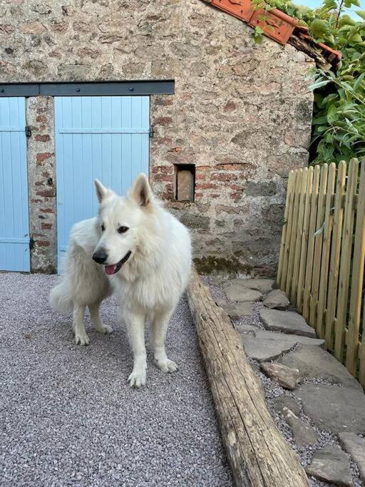 La Petite Maison D'Orphee Marmagne  Eksteriør billede